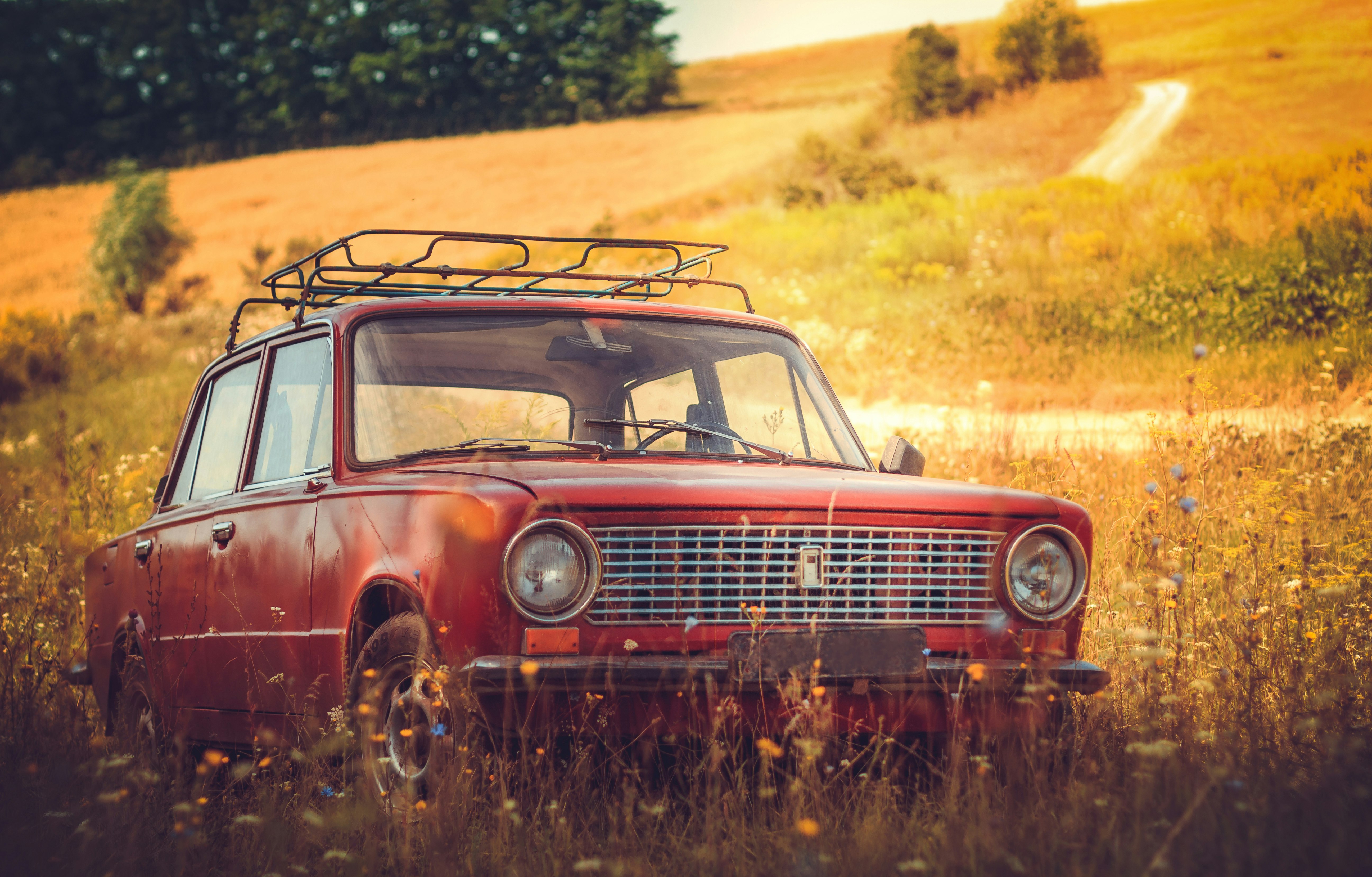 classic red car on grass field